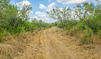 1121 Other, Alice, TX 78342