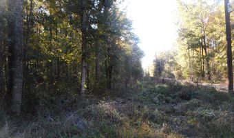 E-S Drive, Braxton, MS 39044