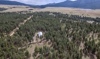 41 Susan Ln, Angel Fire, NM 87710