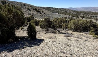 Andy's Way, Elko, NV 89801