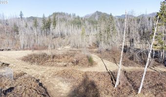 91737 BLUE RIVER RESERVOIR Rd, Blue River, OR 97413