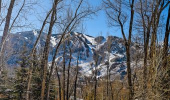 1036 Red Mountain Rd, Aspen, CO 81611