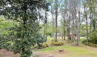18917 NW COUNTY ROAD 239, Alachua, FL 32615