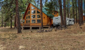 7 County Road 2312, Alpine, AZ 85920