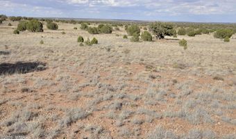 10 N9228, Concho, AZ 85924