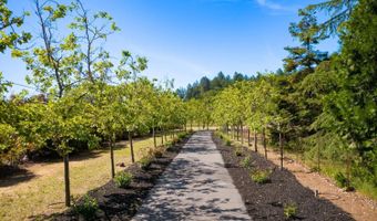 1275 Summit Lake Dr, Angwin, CA 94508