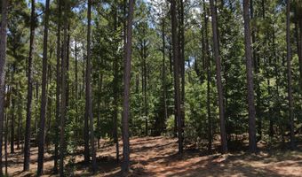 Lot 6 Lighthouse Point, Lincolnton, GA 30817