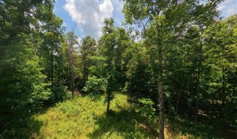 County Road 200, Alton, MO 65606