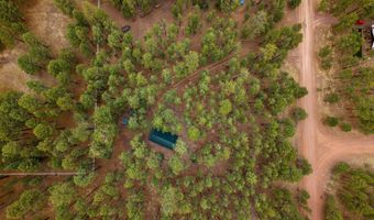 19 Hillcrest Dr, Alpine, AZ 85920