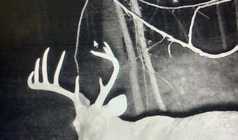 001 Farr Rd, Bolton, MS 39041