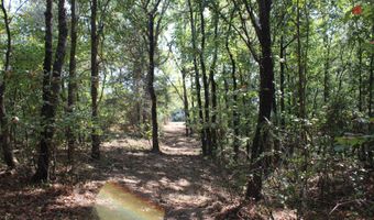 351 Waites Rd, Holly Springs, MS 38635