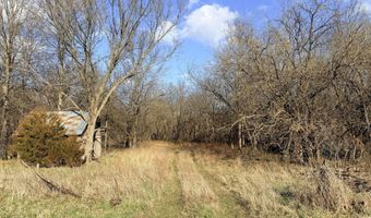 0002 CR-290, Asbury, MO 64832