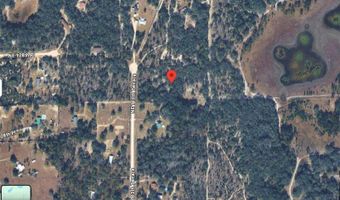 12791 NE 113TH Ter, Archer, FL 32618