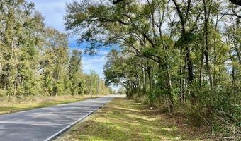 County Road 342, Bell, FL 32619