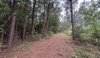 167 E W Morgan, Arcadia, LA 71001