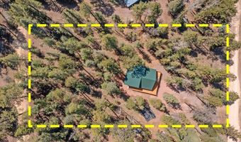 6 County Rd 2042, Alpine, AZ 85920