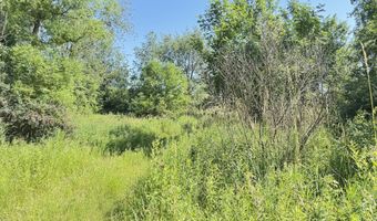 13513 100th St SE, Alto, MI 49302