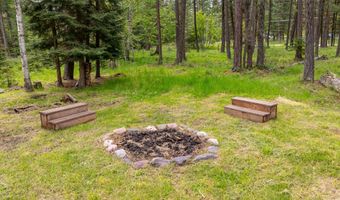 13033 Trinkus Ln, Bigfork, MT 59911