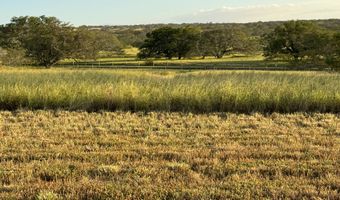 56-135 PUALANI Rd, Hawi, HI 96719