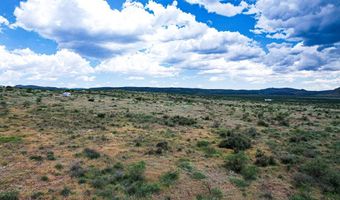 71 High Lonesome, Alpine, TX 79830