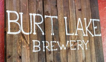 9090 M-68, Alanson, MI 49706