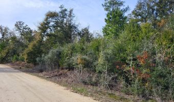 Tommy Tucker Road lot 5, Altha, FL 32421