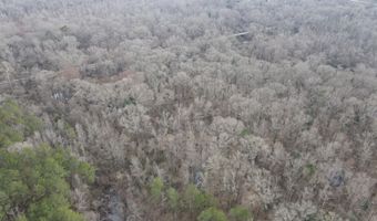 U.S. Highway 51, Bogue Chitto, MS 39629