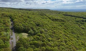 Arciel Drive, Albrightsville, PA 18210