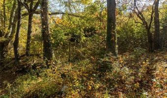 286 Lowry St, Ball Ground, GA 30107