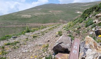 Ms # 17664- LAST ROSE BARRY LYNDON RORY OMORE - 66.66%, Alma, CO 80420