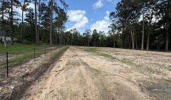993 Paradise Rd PARADISE Rd, Ball, LA 71405