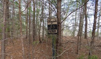 Bayside Blvd lot # 35, Bean Station, TN 37708