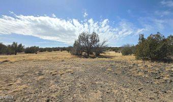 8495 W Antelope Run Rd, Ash Fork, AZ 86320