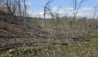 295 Shellstone Rd, Amsterdam, NY 12010