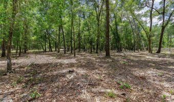 SE 152ND - RAVENSWOOD RD PARCEL B & C LOTS 16 17 Place, Altoona, FL 32702