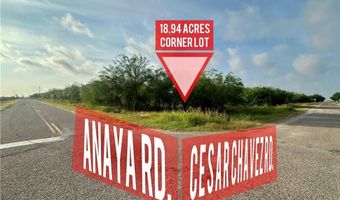000 Anaya Rd, Alamo, TX 78516