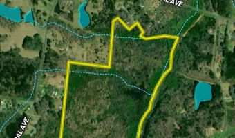 0 Cedar Ln, Alexander City, AL 35010