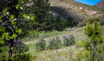 0 Wild River Rd, Bellvue, CO 80512