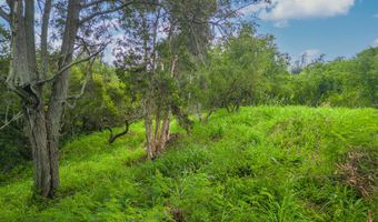 APOPO RD, Kapaa, HI 96746