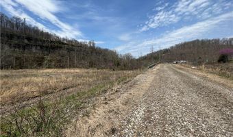 Little Coal River Road, Alum Creek, WV 25501