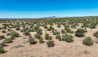 N Angels Landing Road, Ash Fork, AZ 86320