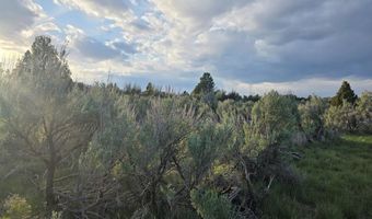 TBD 40 AC Arcadia Road, Ashton, ID 83440