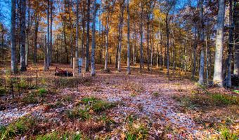 54 E Ridge Rd, Allardt, TN 38504
