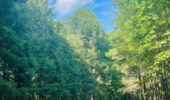 711 Hawks Ridge Dr, Ball Ground, GA 30107