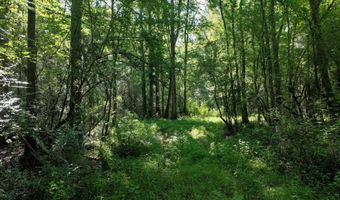 Us-51, Bogue Chitto, MS 39629