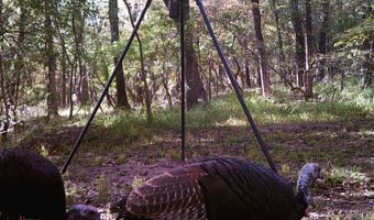 13489 S Center Point Rd, Atoka, OK 74525