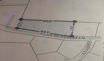 PEAR BLOSSOM Ln, Adamsville, TN 38310