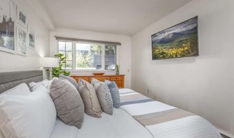 210 E Cooper Ave 1C, Aspen, CO 81611