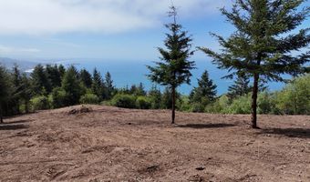 McVay Creek Rd TL310, Brookings, OR 97415