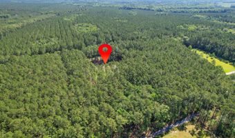8144 Autumn Mist Ln, Adams Run, SC 29426